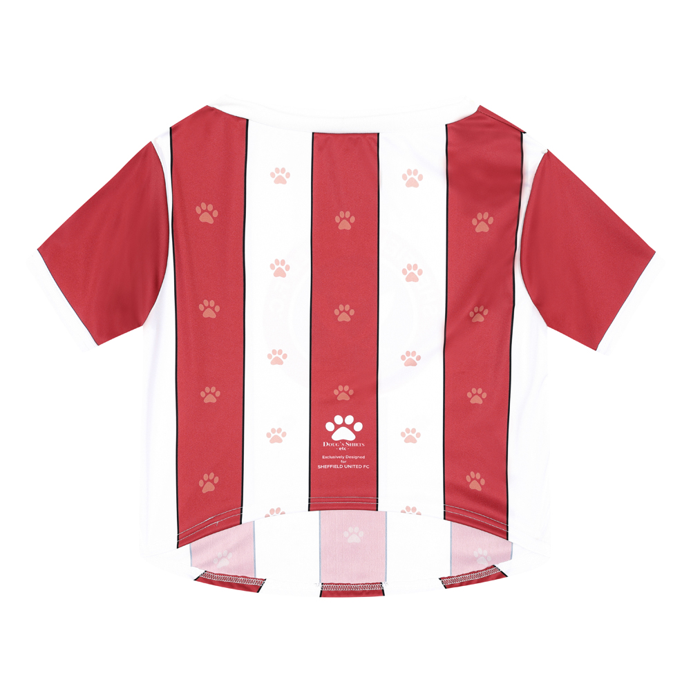 Louisville Cardinals Dog Jersey-University of Louisville Sports Shirt for  Pets-Small, Medium, and Large