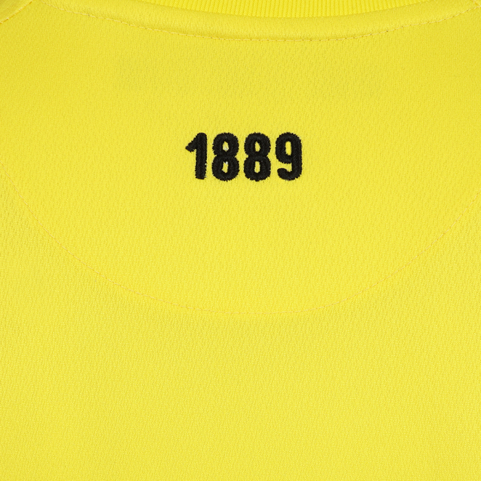 Adult GK Yellow S/S Shirt 25/26