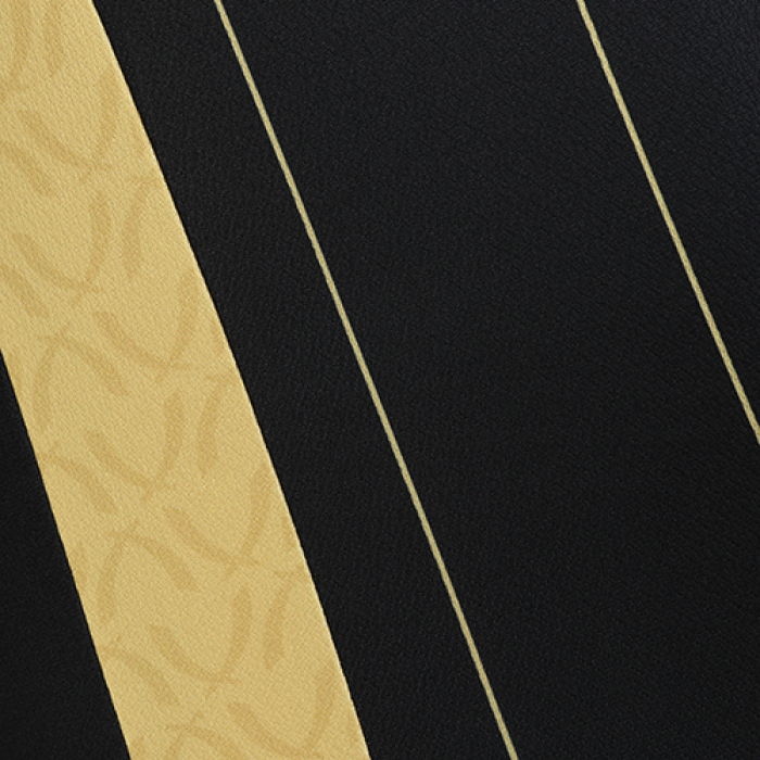 Adult GK Black L/S Shirt 25/26