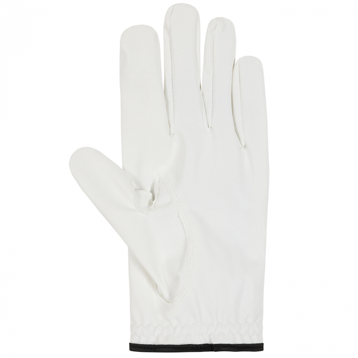 Club Golf Glove LH