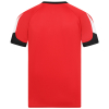 Adult Thomas Jersey 25 R/B/W