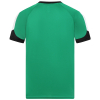 Adult Thomas Jersey 25 G/W/B