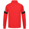 Adult Taylor 1/4 Zip 25 R/B/W