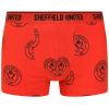 Junior 2PK Boxer Shorts