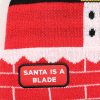 Santa Crest Hat