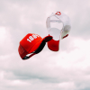 SUFC Logo Cap