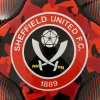 Camo Crest Football