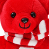 Beanie Scarf Bear