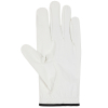 Club Golf Glove LH