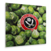 Sprouts Card 