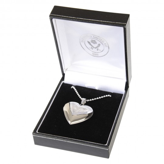 Heart Locket and Chain