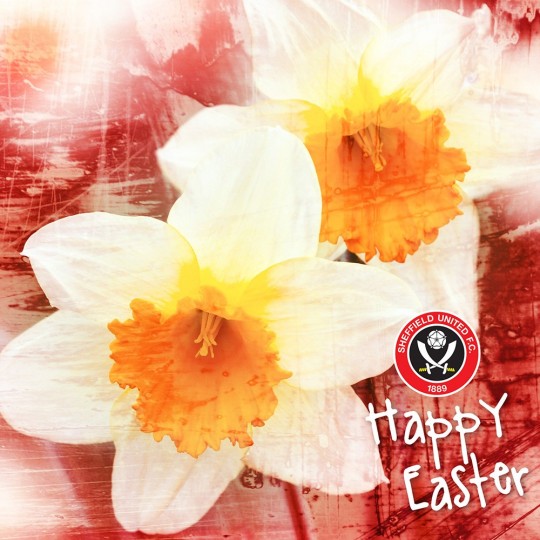 Flower Easter Card