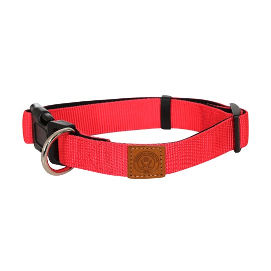 Blades Dog Collar