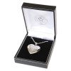 Heart Locket and Chain