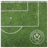 Pitch Crest Card 