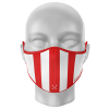 Sword Stripe Mask