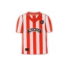 Home 1996 Retro Badge