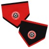 2PK Crest Dribble Bibs