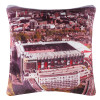 Stadium Cushion