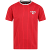Adult Pinstripe Jersey R/B